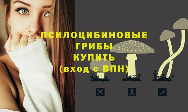 трава Бородино