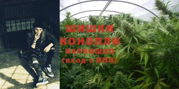 круглые Бронницы