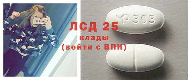 винт Богданович