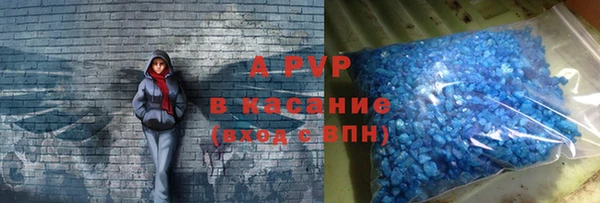 трава Бородино