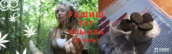 трава Бородино
