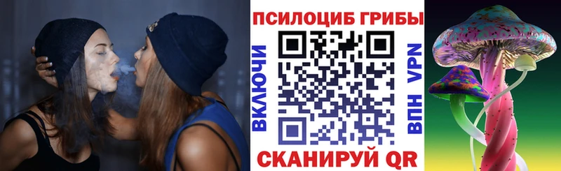 Купить где Лобня Галлюциногенные грибы Psilocybine cubensis